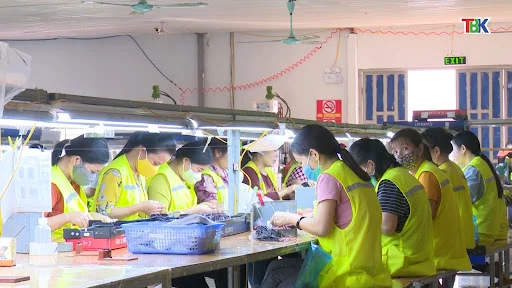 chính sách hỗ trợ doanh nghiệp