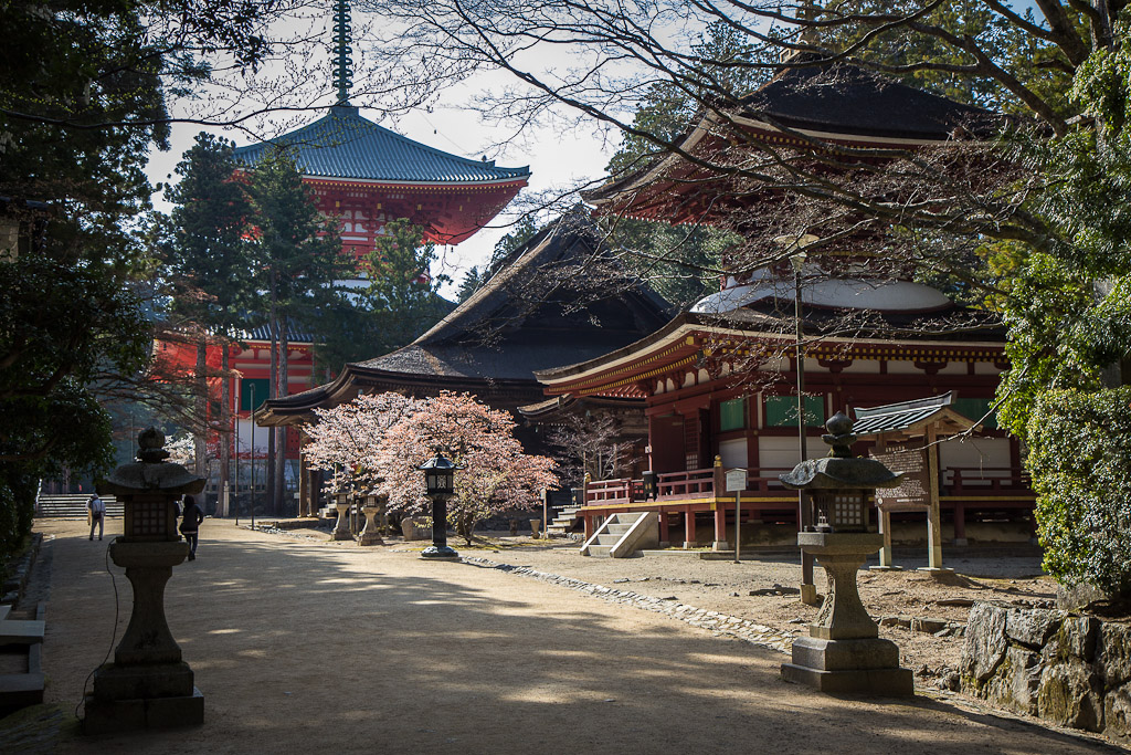 Ghé thăm ngọn núi Koya - Thánh đía linh thiêng của Nhật Bản