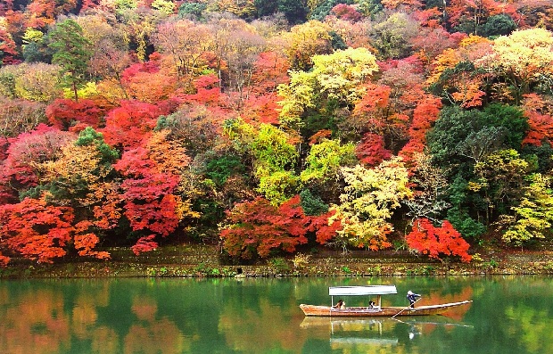 Cảnh đẹp mùa thu khó cưỡng tại Kyoto