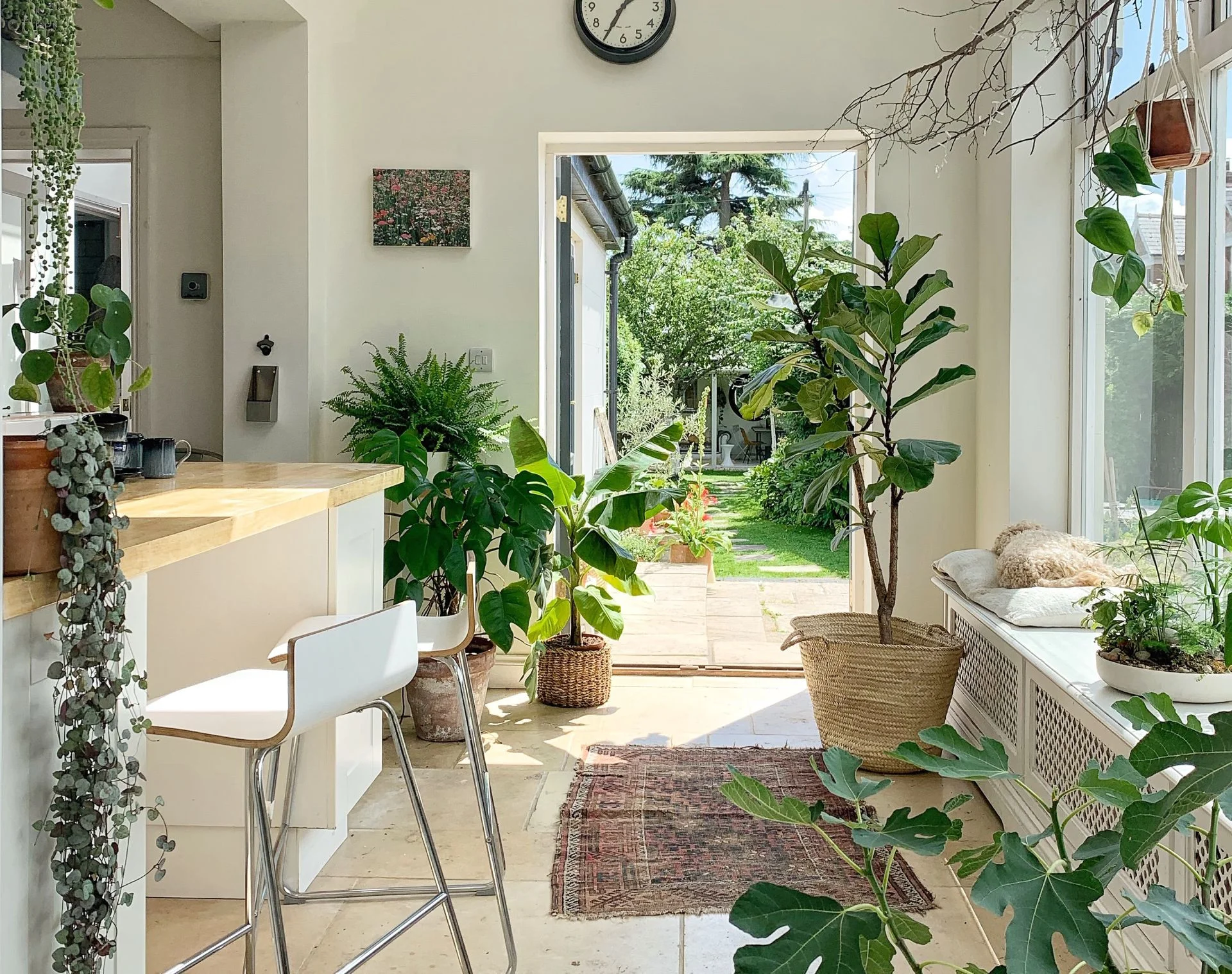 Vị trí trồng cây phong thủy