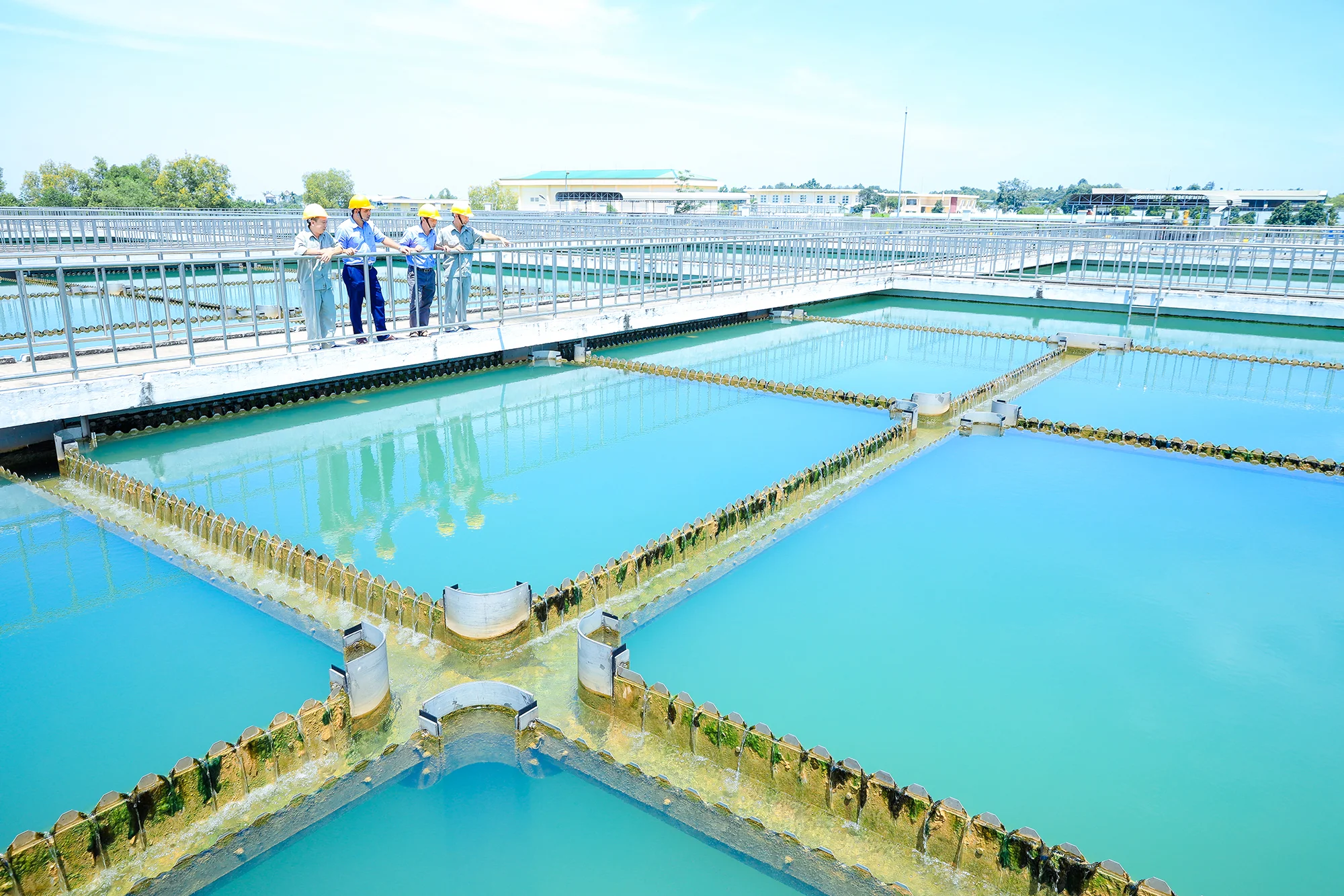 Những thông tin cần lưu ý khi lựa chọn mua cổ phiếu DNW